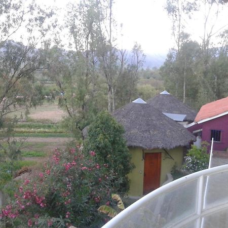 La Pasarela Otel Tarija Dış mekan fotoğraf