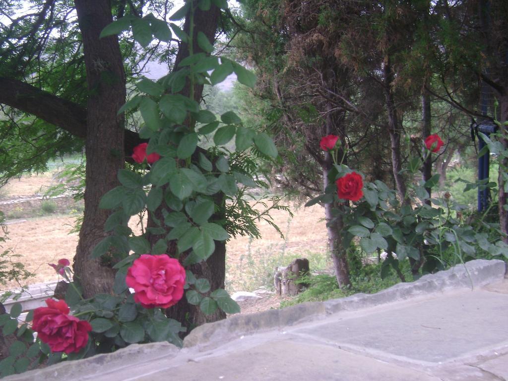 La Pasarela Otel Tarija Dış mekan fotoğraf